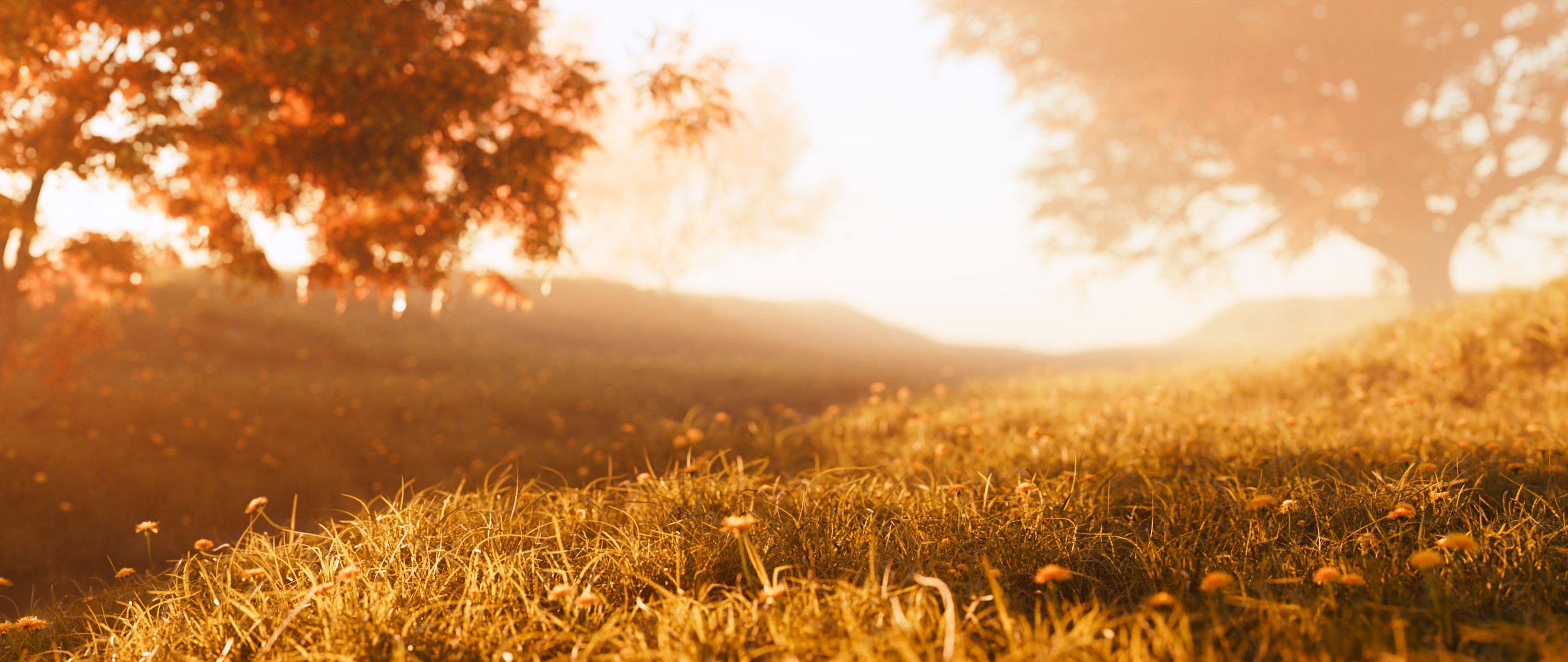 A photo of a morning grassland
